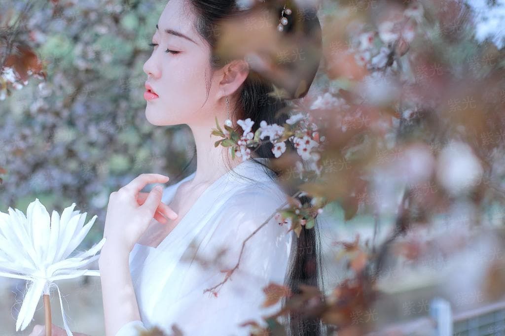 杀破狼 殺破狼[电影解说]